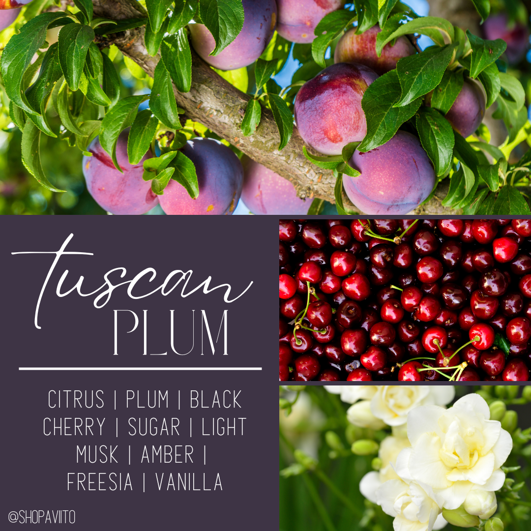 Tuscan Plum - Melt Aways